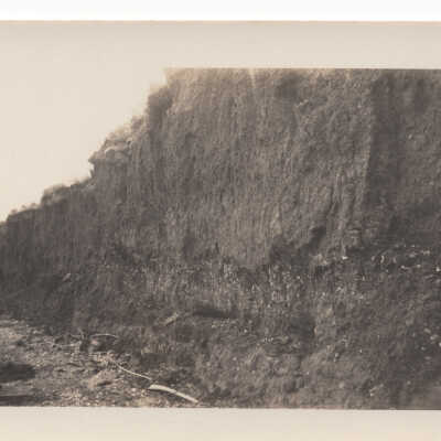 Seawall