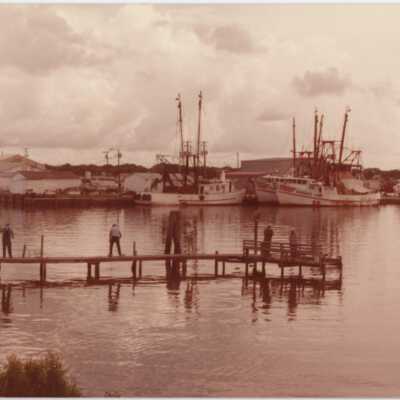 Shrimp Boats