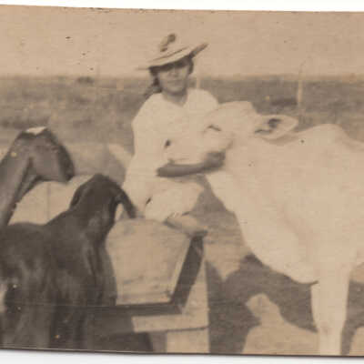 Woman with Cow and goats