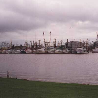 Shrimp Boats