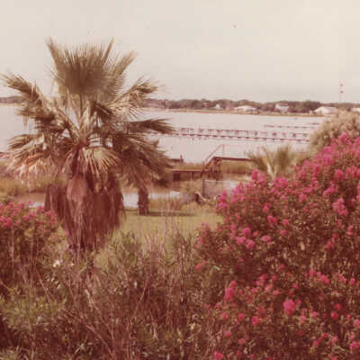 View of Bay