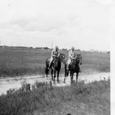 Horse Riding