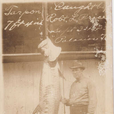 7ft 4 in Tarpon