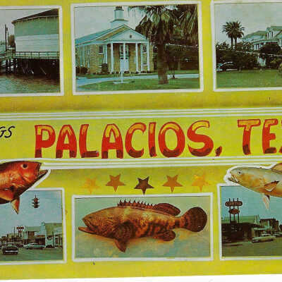 Palacios Postcard