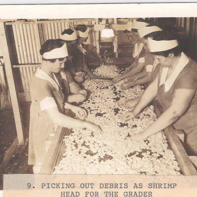 Picking Out Debris