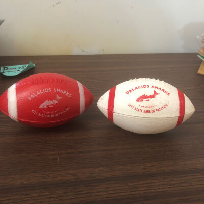 Palacios Cheerleader Football Handout