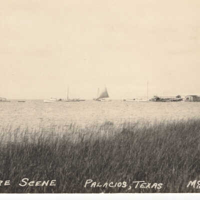 Shore Scene