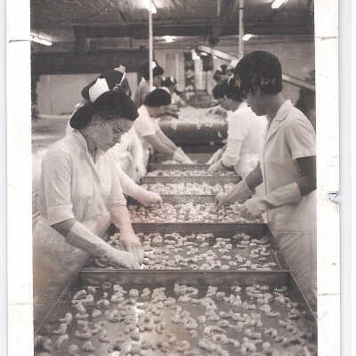 Sorting the Shrimp