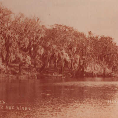 Hangin Moss on Tres Palacios River