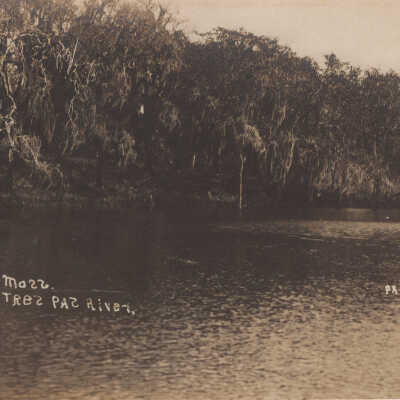 Hanging Moss on Tres Palacios River