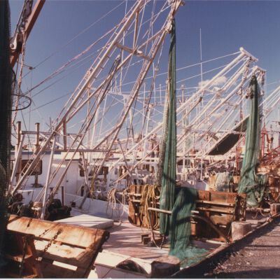 Shrimp Trawlers