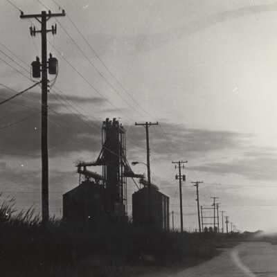 Power Lines