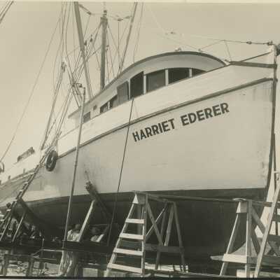 Harriet Ederer