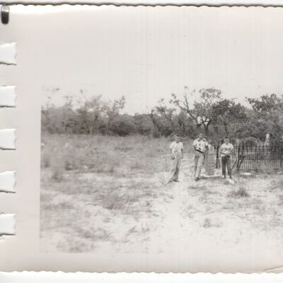 Photograph