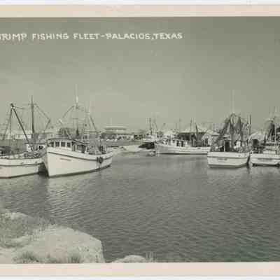 Shrimp Fishing Fleet