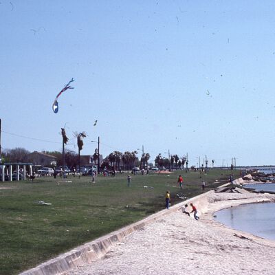 Kite Day