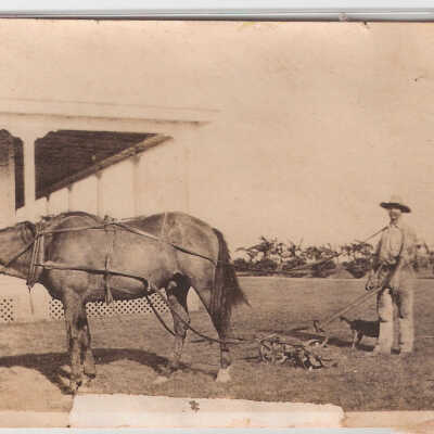 Hotel Palacios south west porch W/ mower