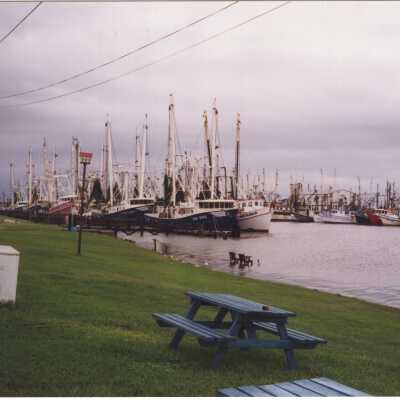 Shrimp Boats