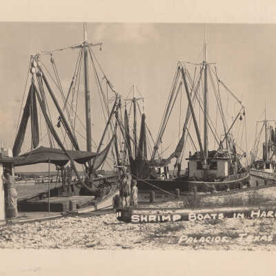 Shrimp Boats in Harbor