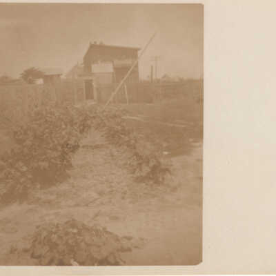 _____ House