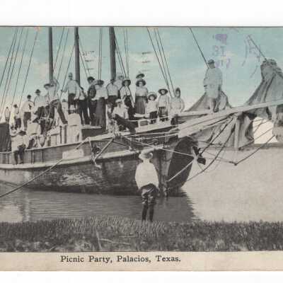 Picnic Party