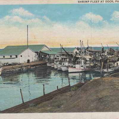 Shrimp Fleet at Dock