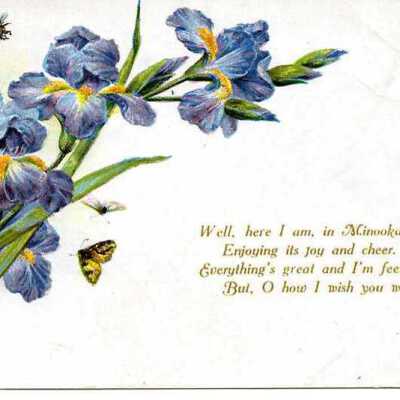 Minooka Floral Postcard