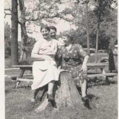 Brown School Picnic