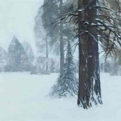 Trees in a Snowstorm