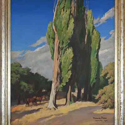 Poplars and Sunlight