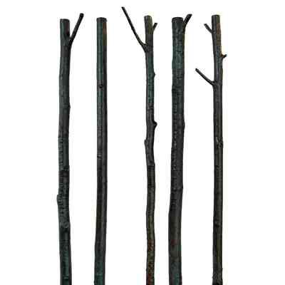 Windbreak V, Study 2