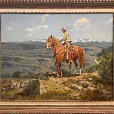 Looking for the Horses