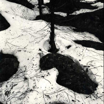Snow, Rocks, Trees, Yosemite