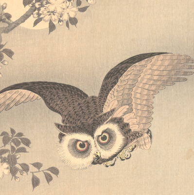 Scops Owl, Cherry Blossoms, and Moon