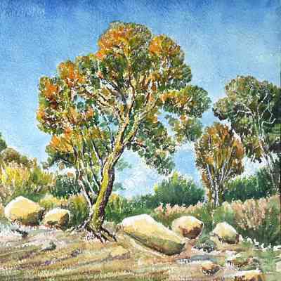 Rocky Ridge in Cedar Canyon