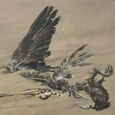 Beached Carcass of a Bird (Beach Scene)