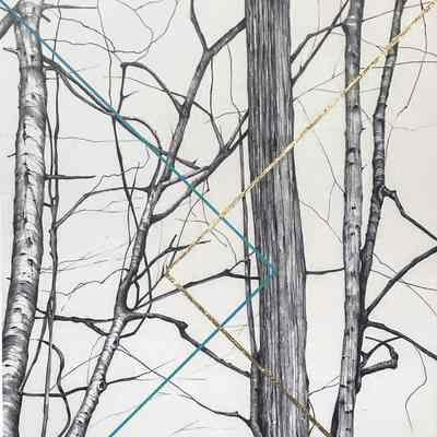 Branches