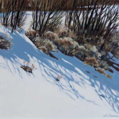 Shadows in the Snow