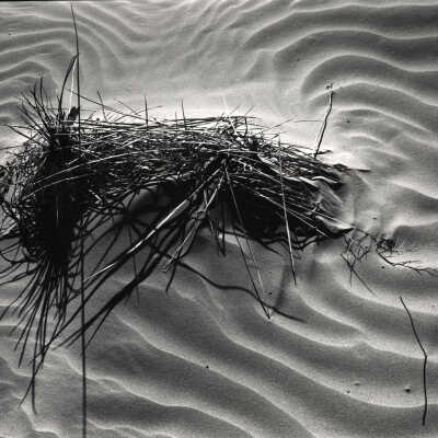Sand and Wood