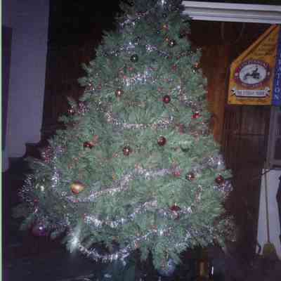 2004 - "steam-powered" Christmas tree at the holiday event