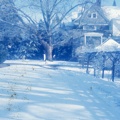 Christmas at Auburn Heights - snow on the rose trellis in 1975