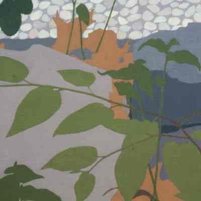 Weeds and Euonymus