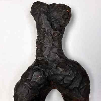 Torso