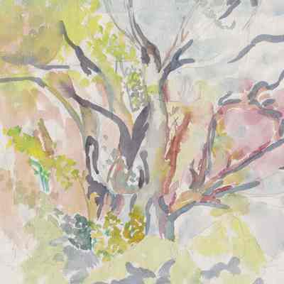 Trees at Pett