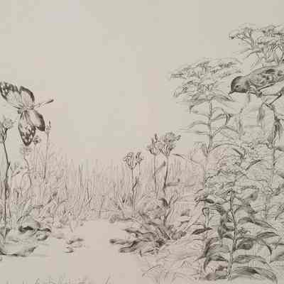 A Garden for Sylvia