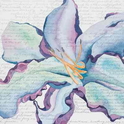 Orchid