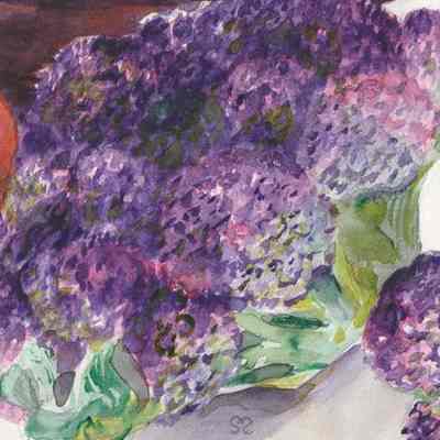 Purple Cauliflower and Orange