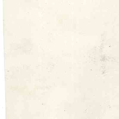 back of 2024.1032.242