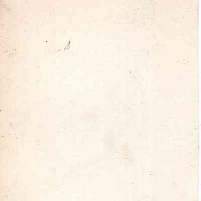back of 2024.1032.165