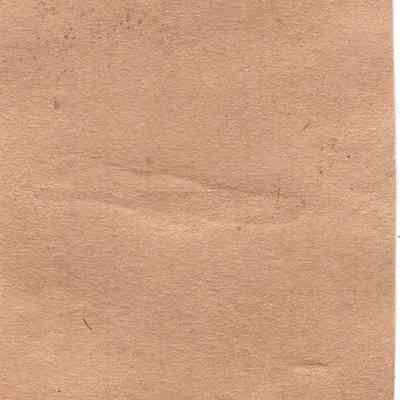 back of 2024.1032.225